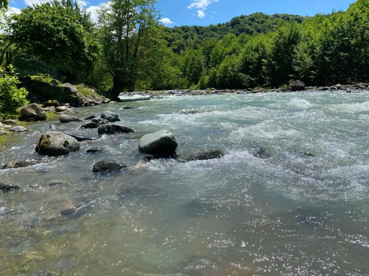 River house