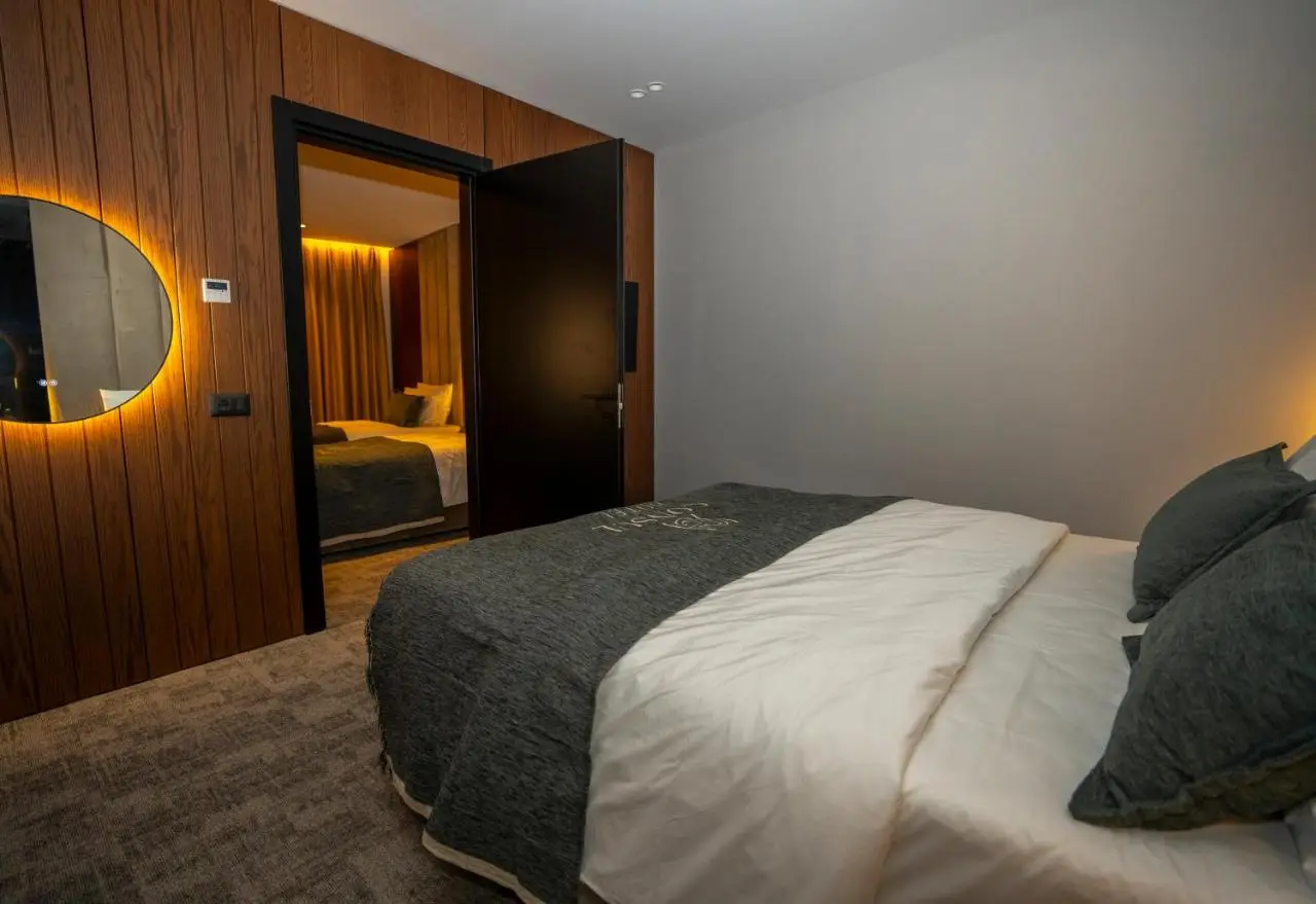 Hotel Consul