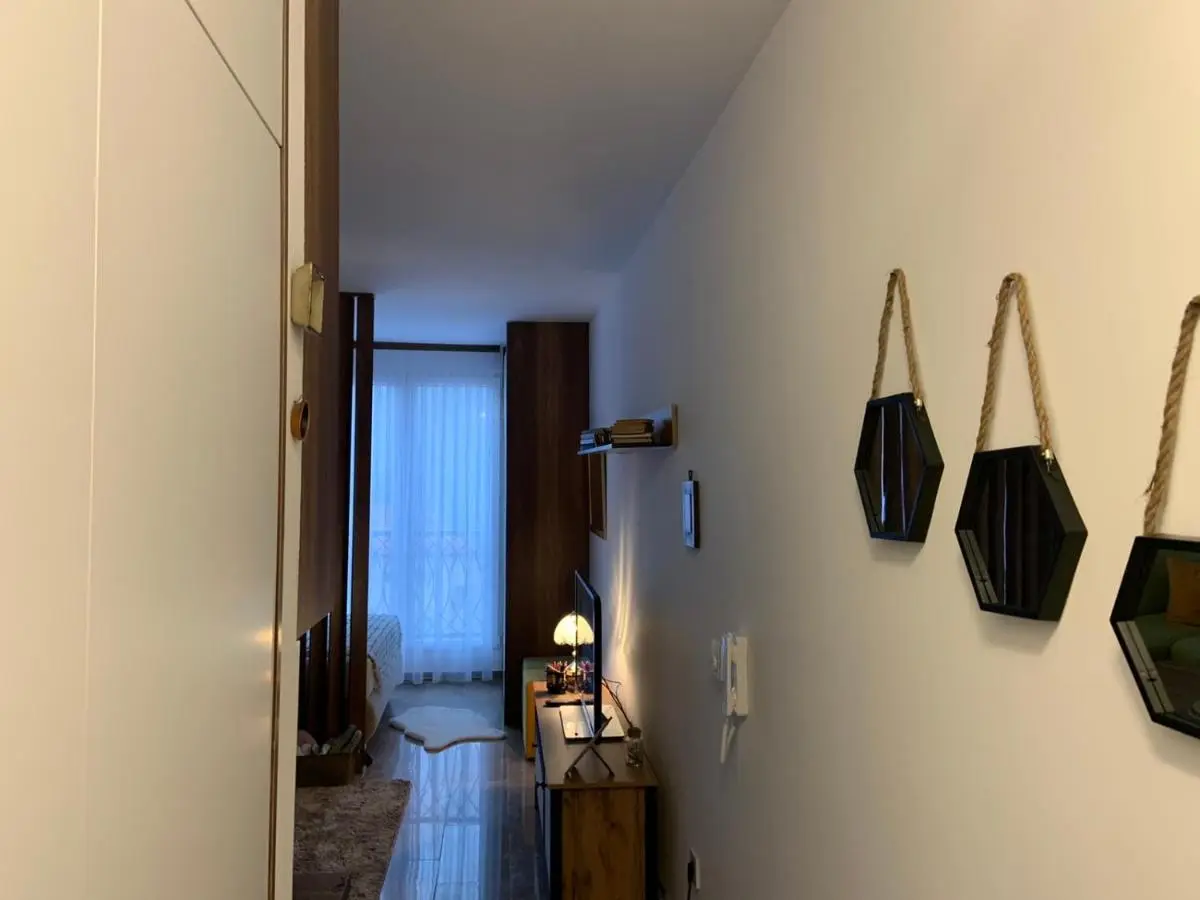 Apartment Aria