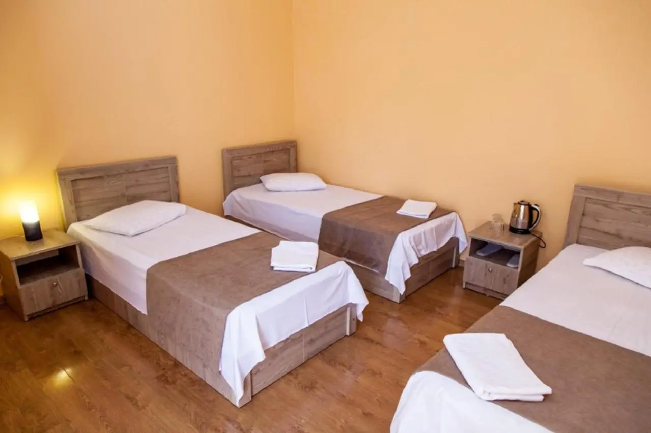 Hotel Old Borjomi
