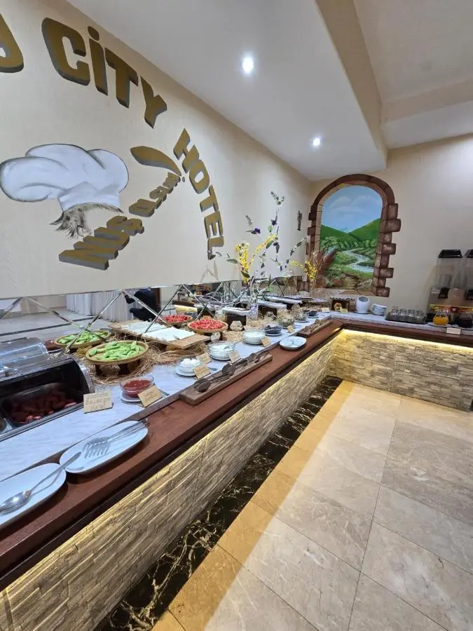 Gabala Tufandag City Hotel