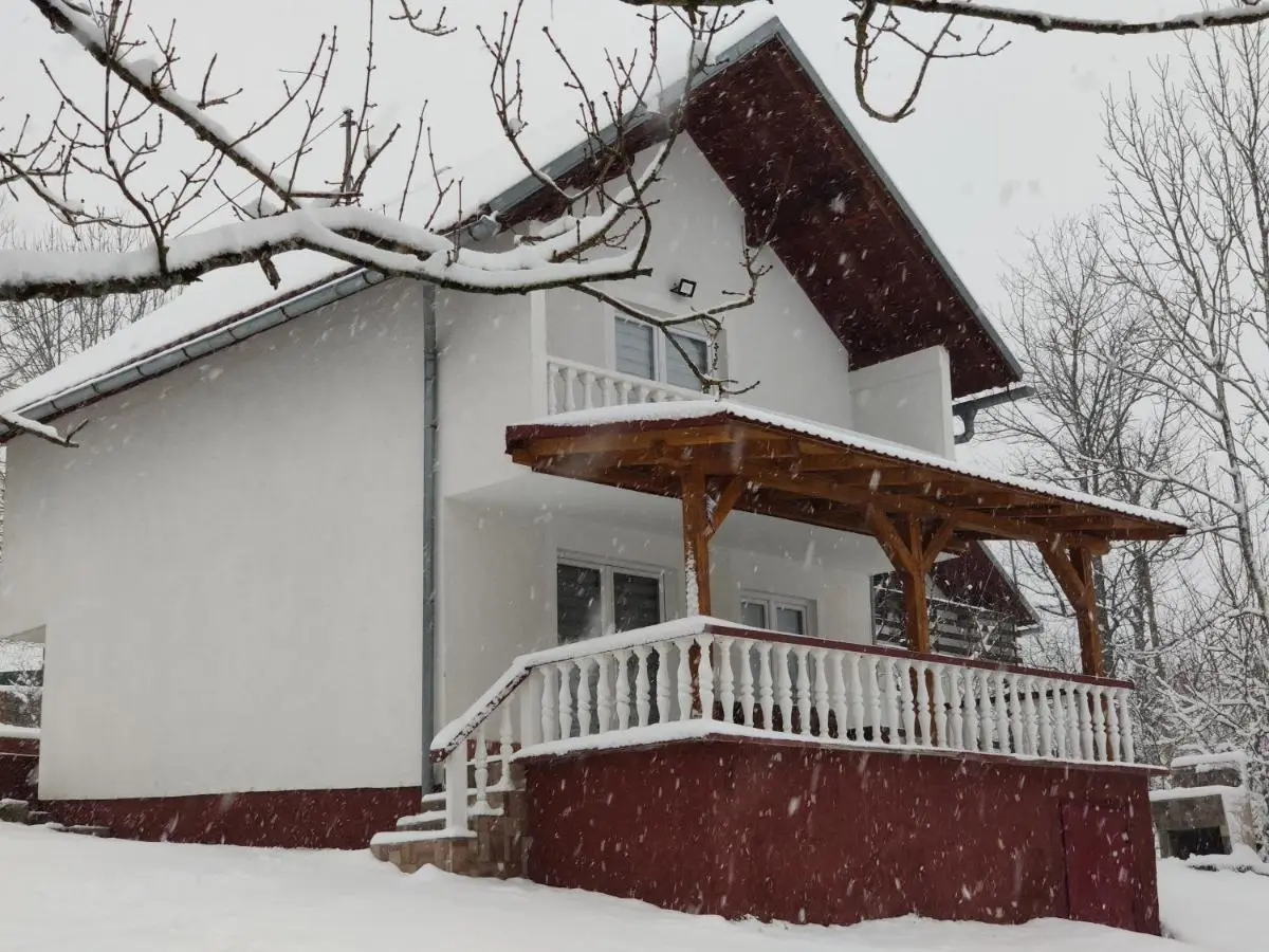 Vlasic holiday home