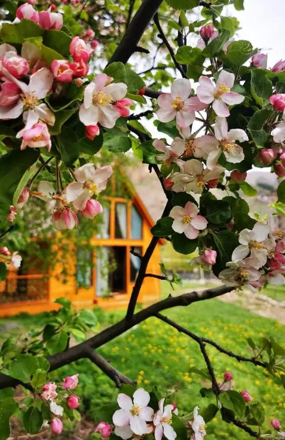 Kazbegi Mountain Cottage MTA-Shi