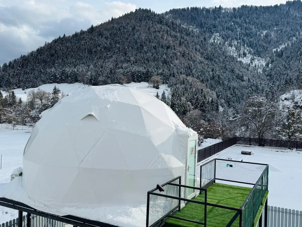 Buddy House Borjomi