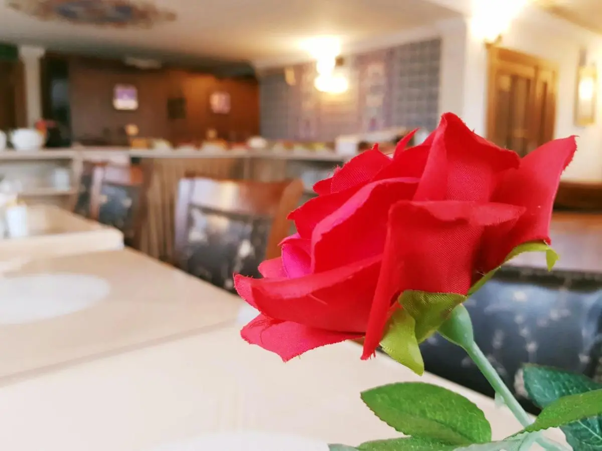 Aldem Hotel