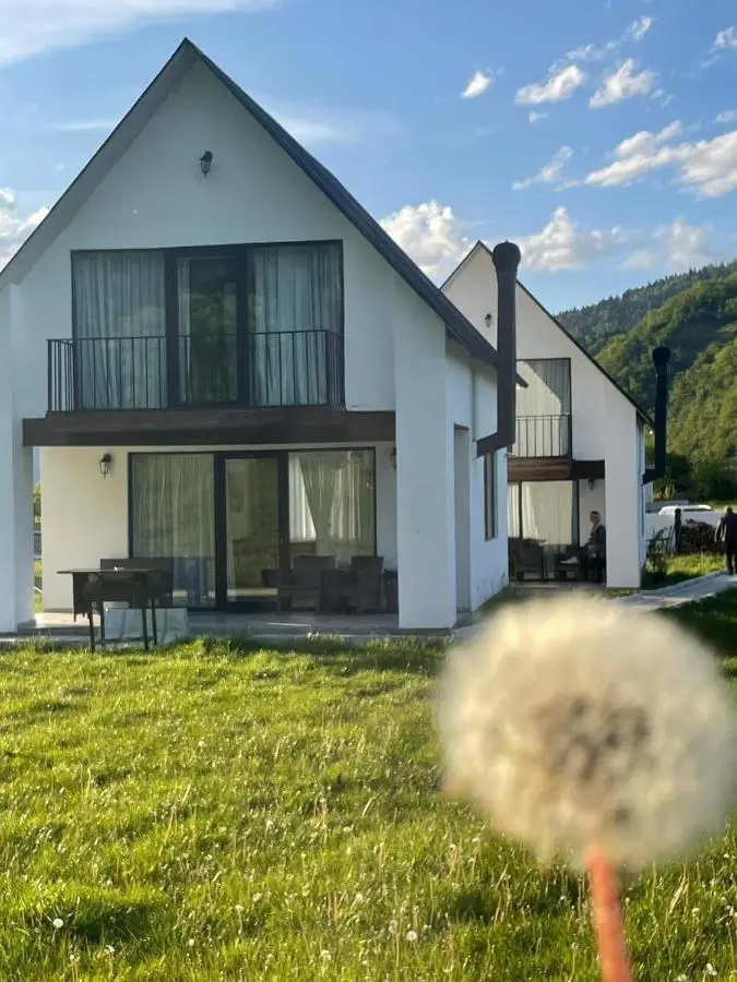 White House near Borjomi Sadgeri