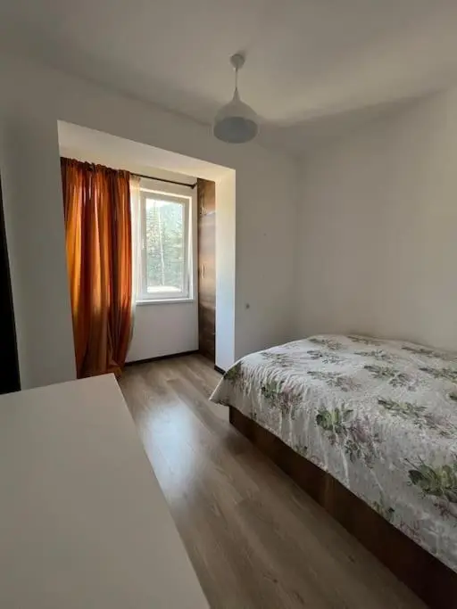 Ana's cosy home in Borjomi center