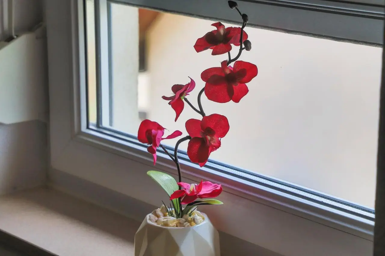 APARTMAN NAAJ