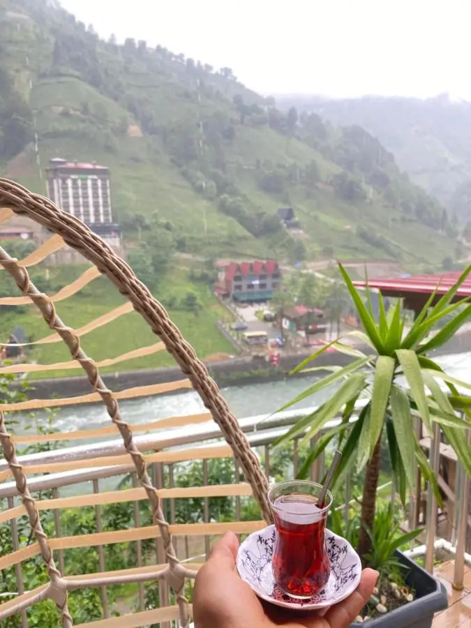 AyDeR CuNeLi BUnGaLoV