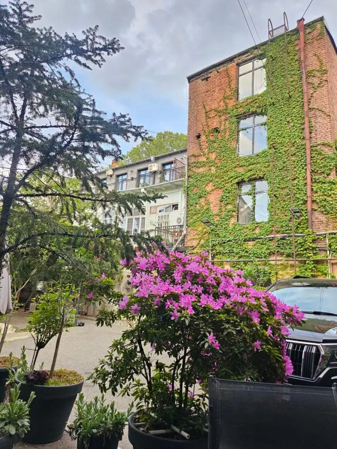 Nova city center apartments