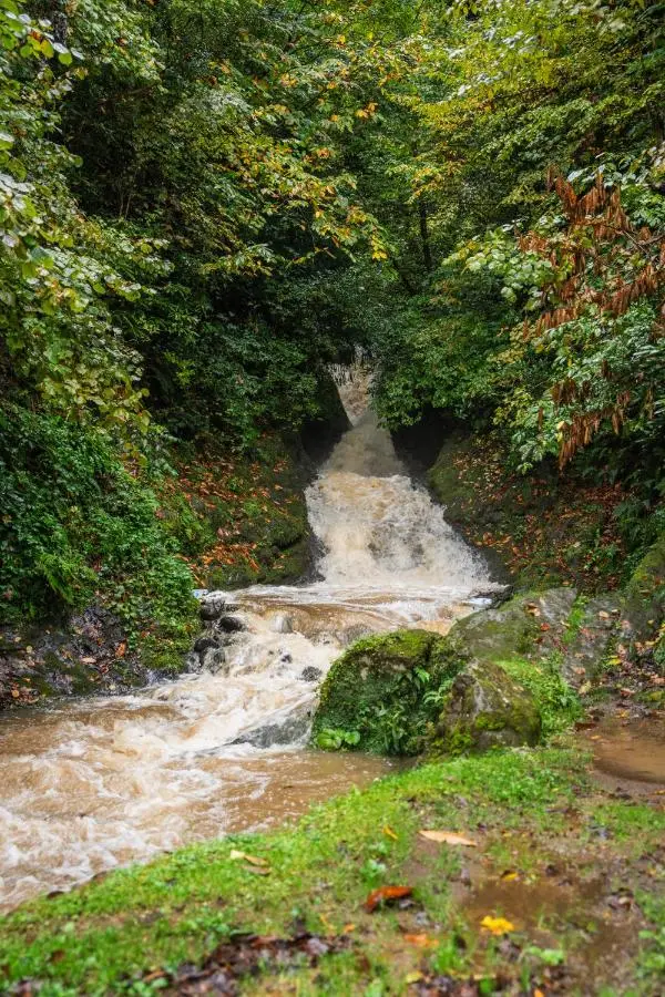 Chalet Nune