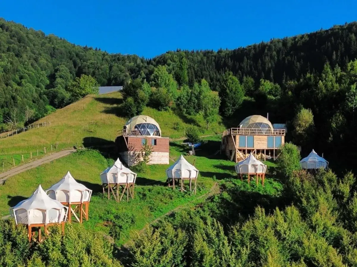 Glamping Tago