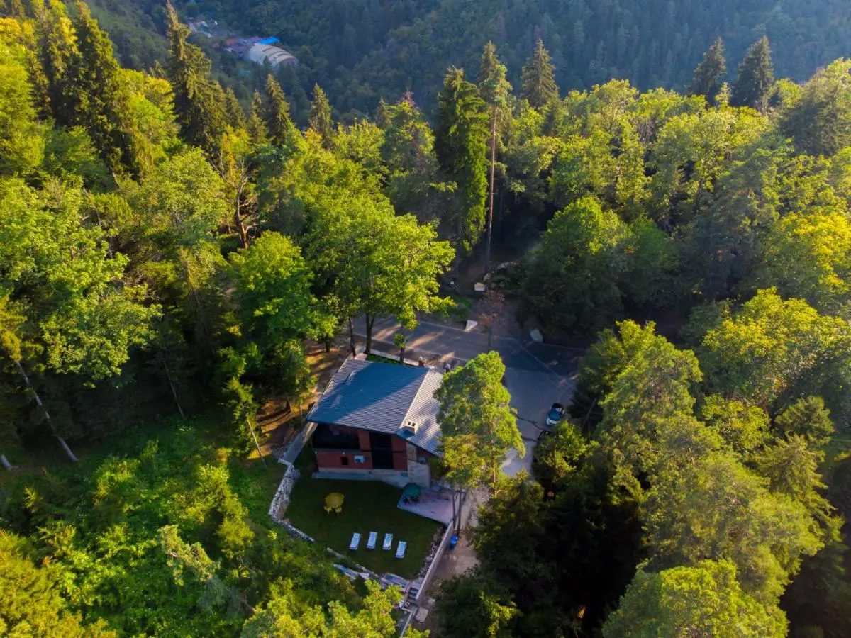 Hotel Evergreen