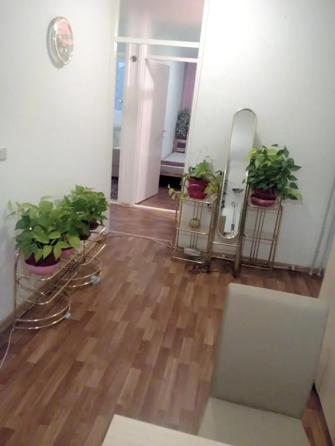 Apartment Alipašino