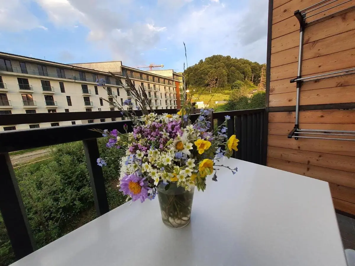 Perfect studio near Didveli ski area