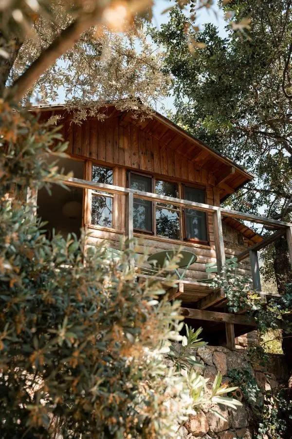 Olive Garden Kabak