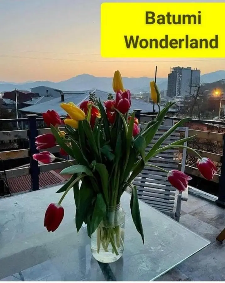 Batumi Wonderland