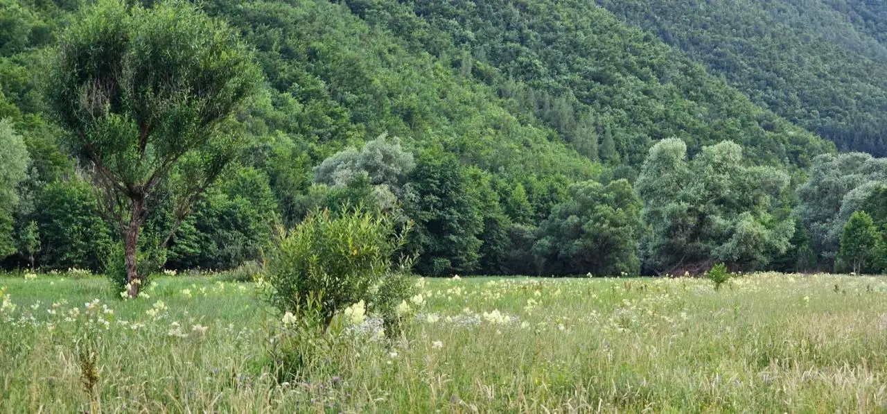 Whisper of the Pliva