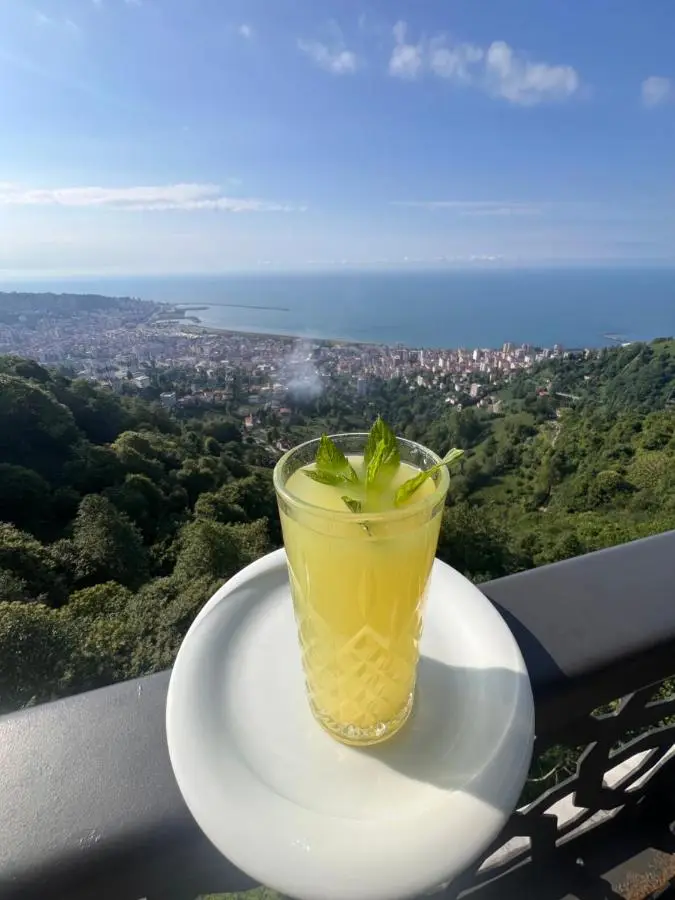 Şahin Tepesi Suites I Rize