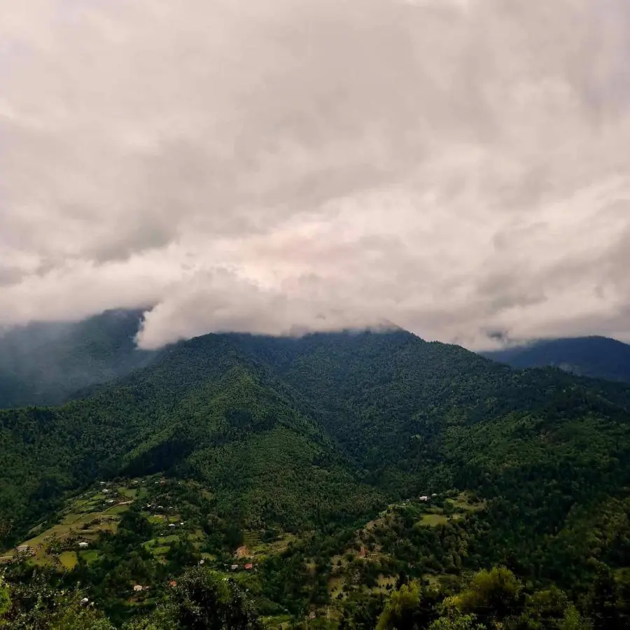 Paradise Keda
