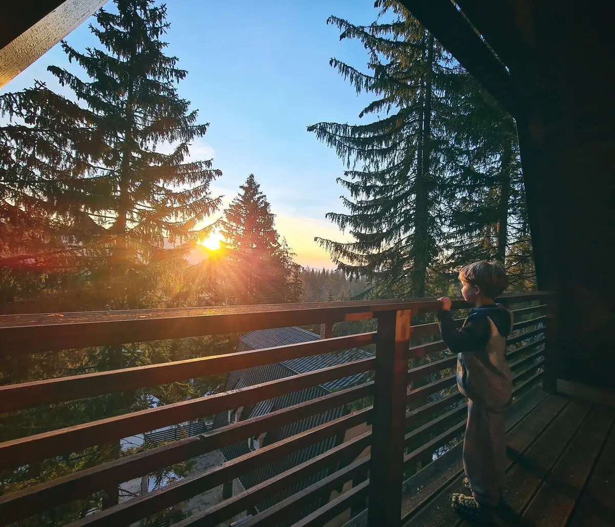 Vlasic Cabin