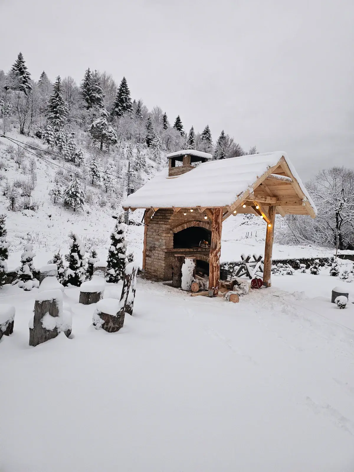Mystery lodge
