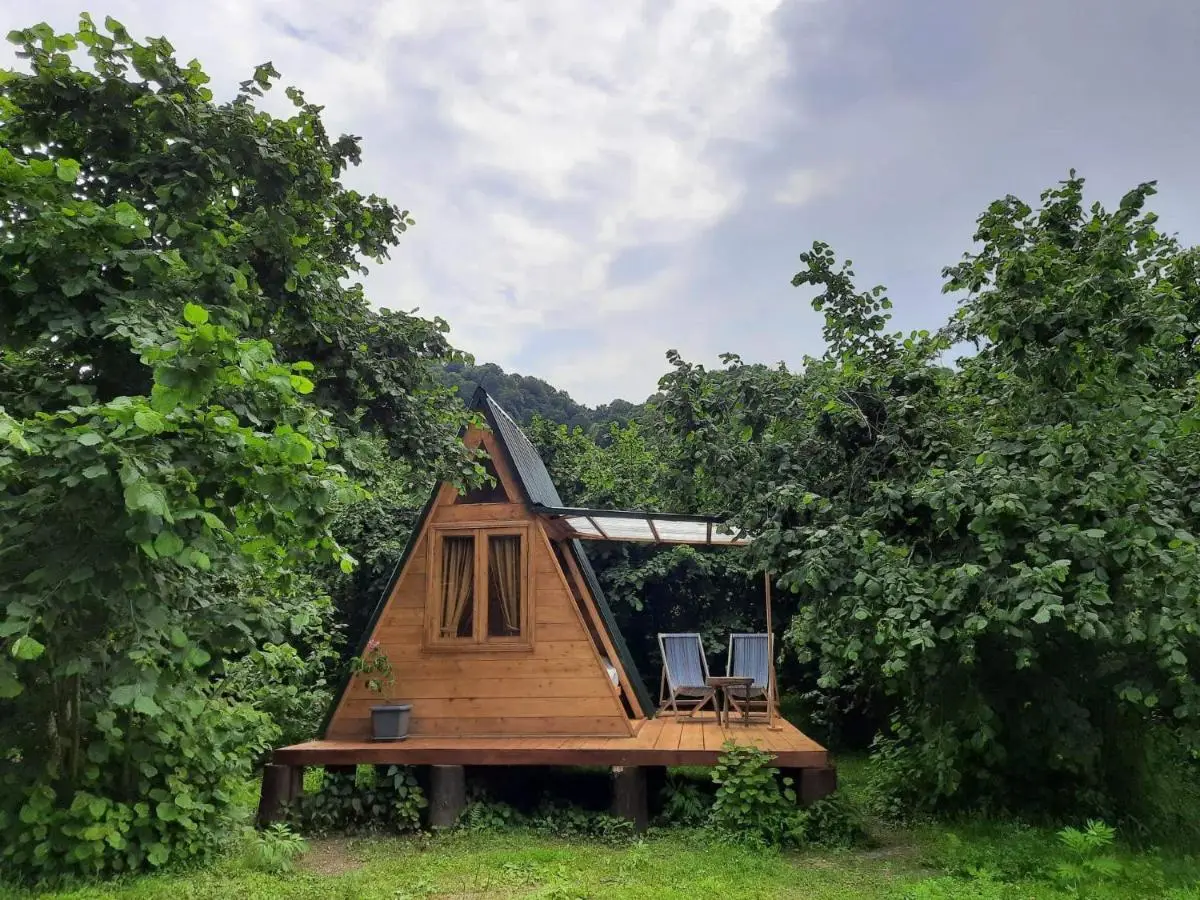 Dumbo Eco Camp