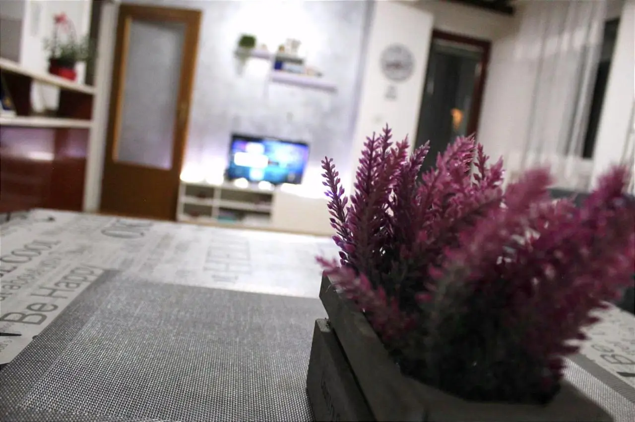 Apartman 19