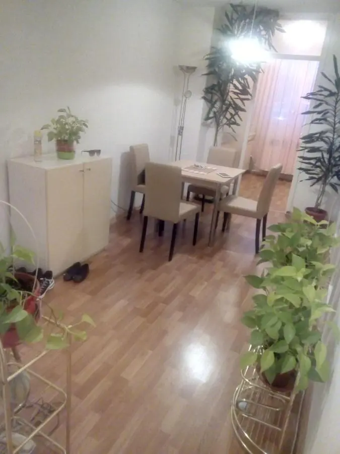Apartment Alipašino