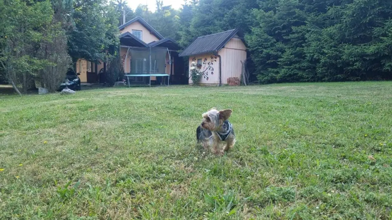 Nature house Semizovac