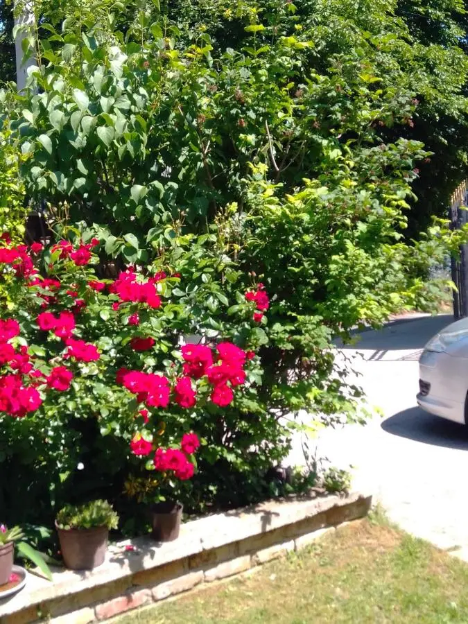 Apartman House Annesa