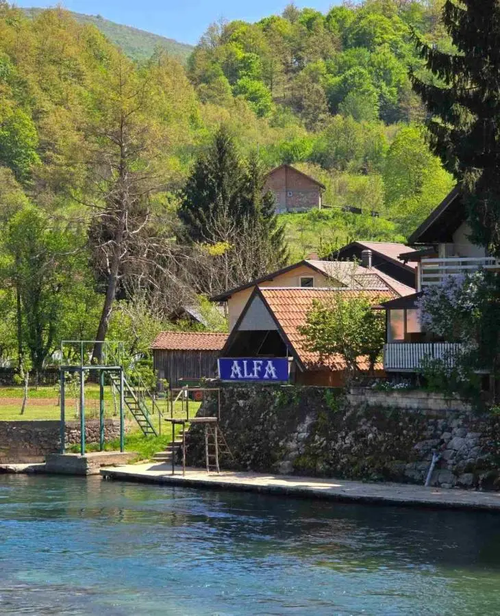 Alfa