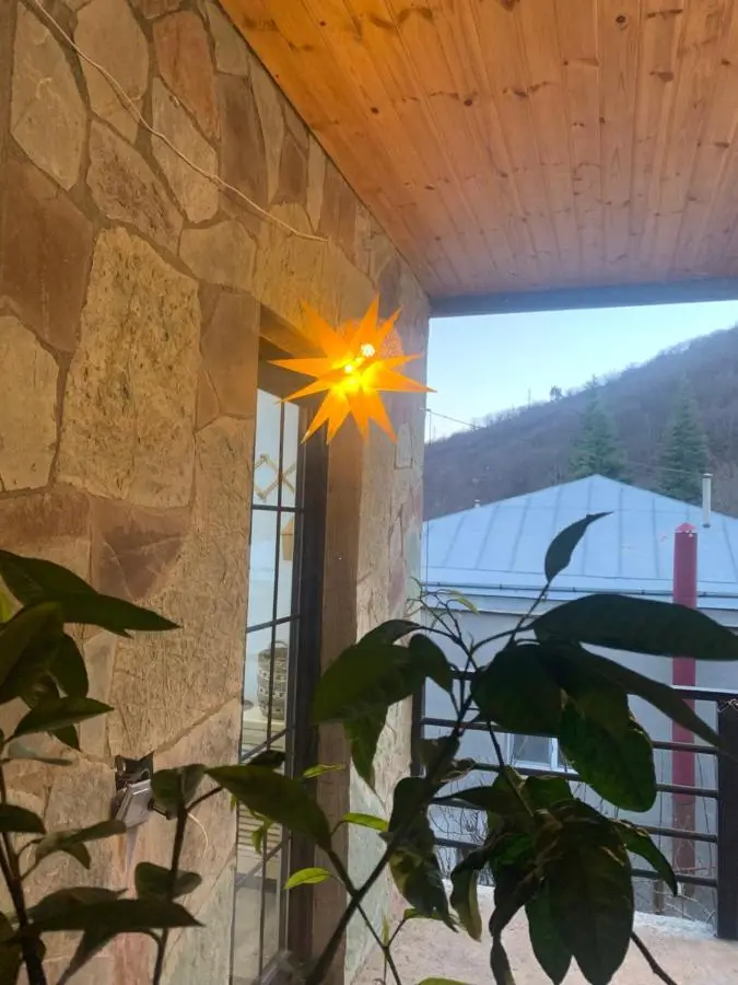 Panorama ananuri guest house