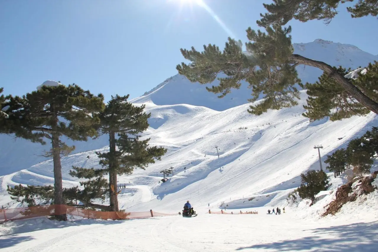 Fulya Pension