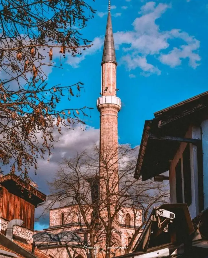 Old Town's Nest