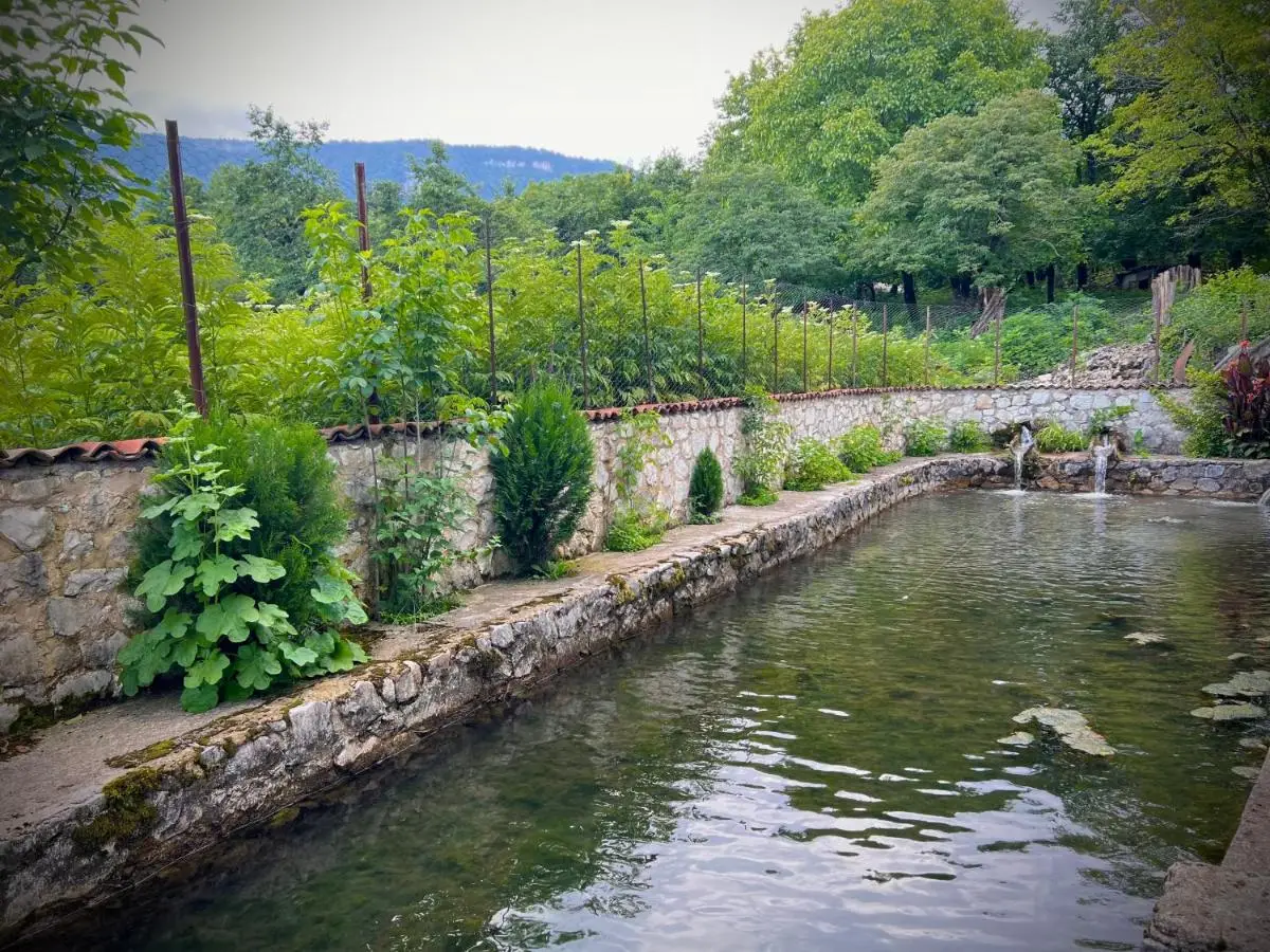 Cottage ,,Okatsia” ოკაციას კოტეჯები