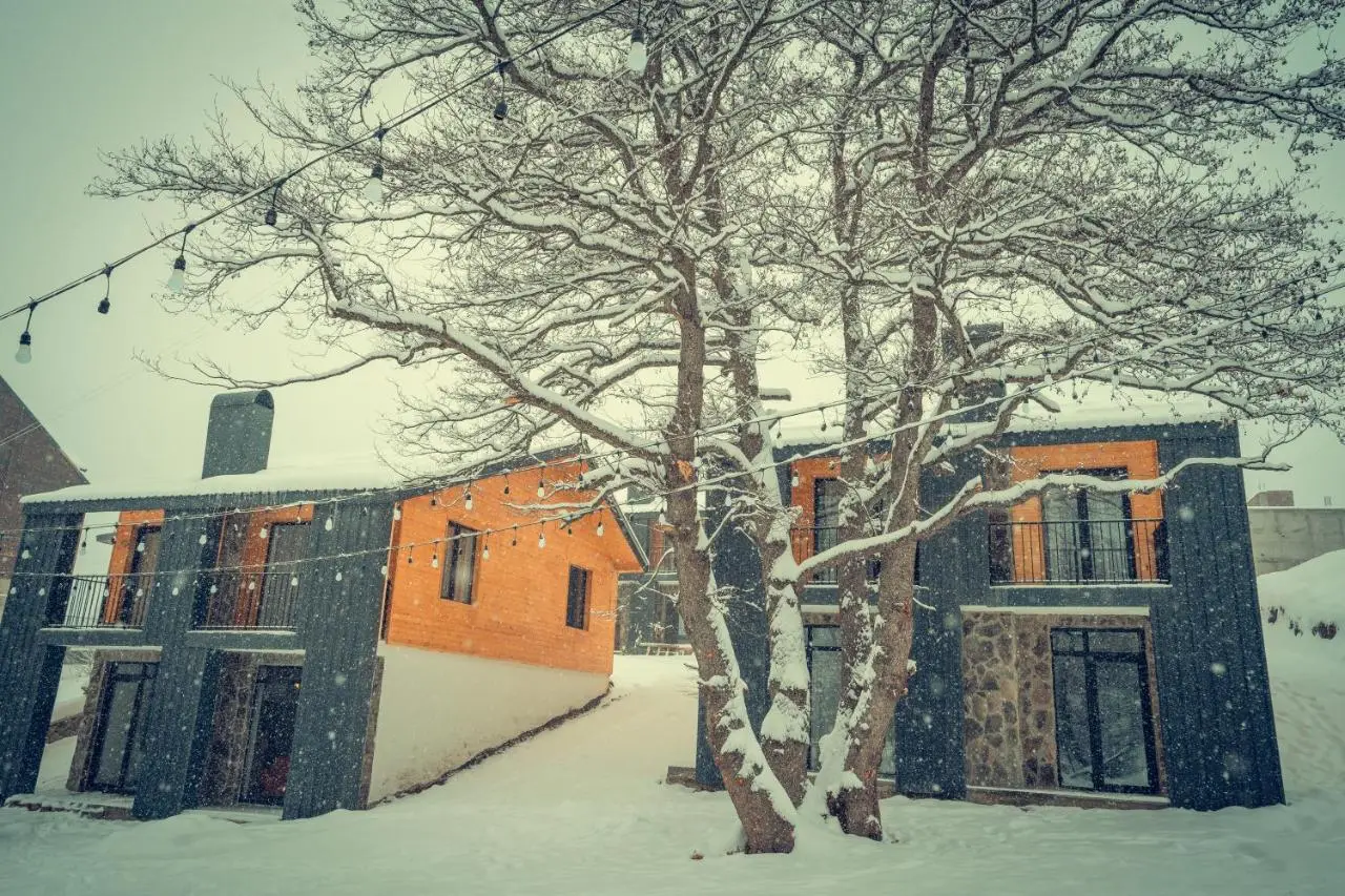 Villa In Didveli