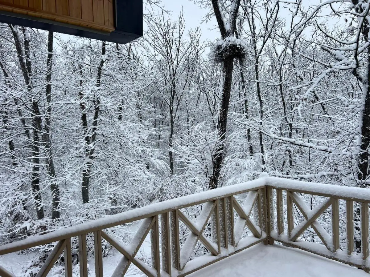 CHALET WOODS GUSAR
