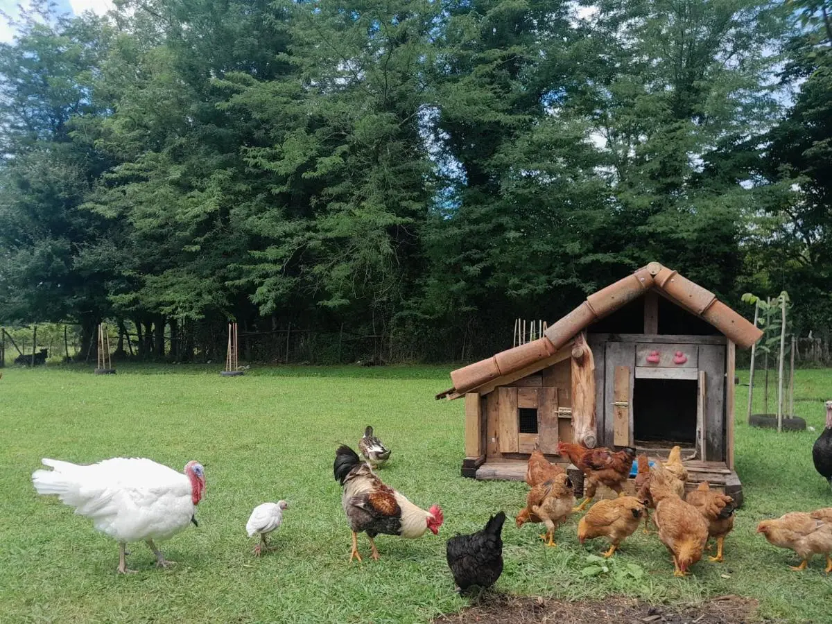Tiny houses Genacvale