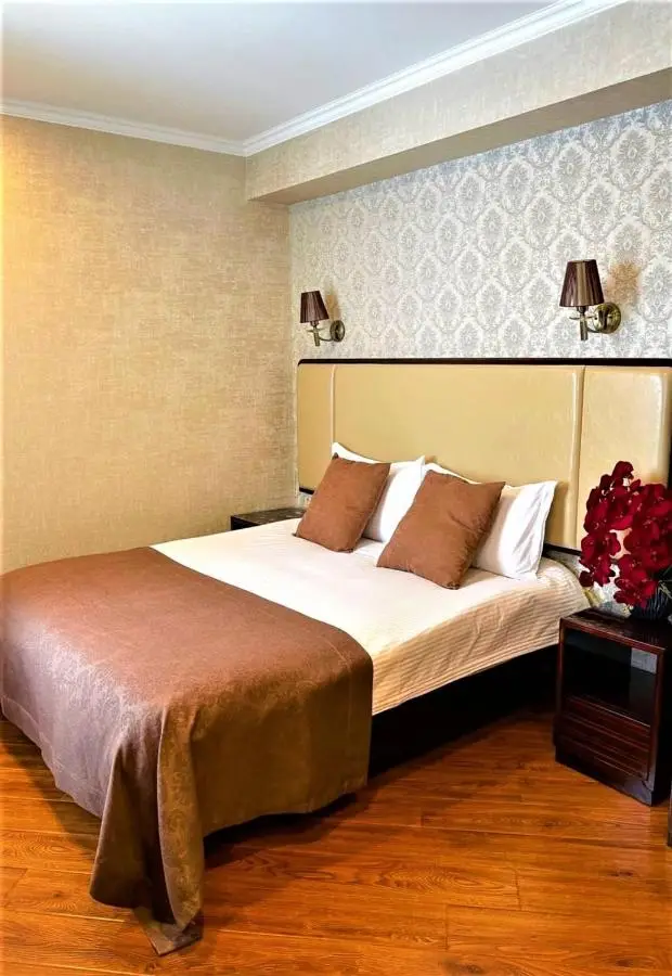 Hotel King David Bakuriani Mountain View