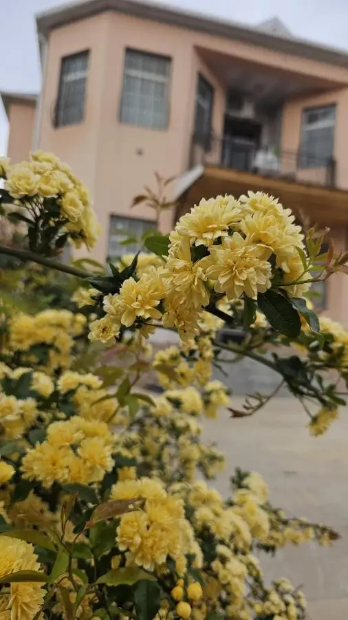 Guest House Savalan