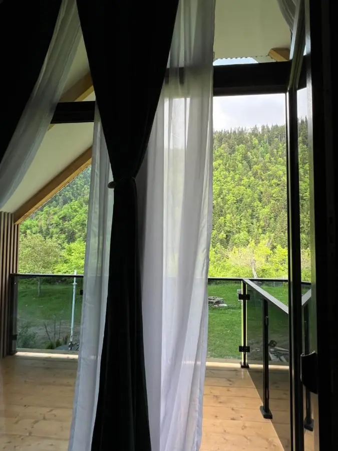 MTA house - Borjomi