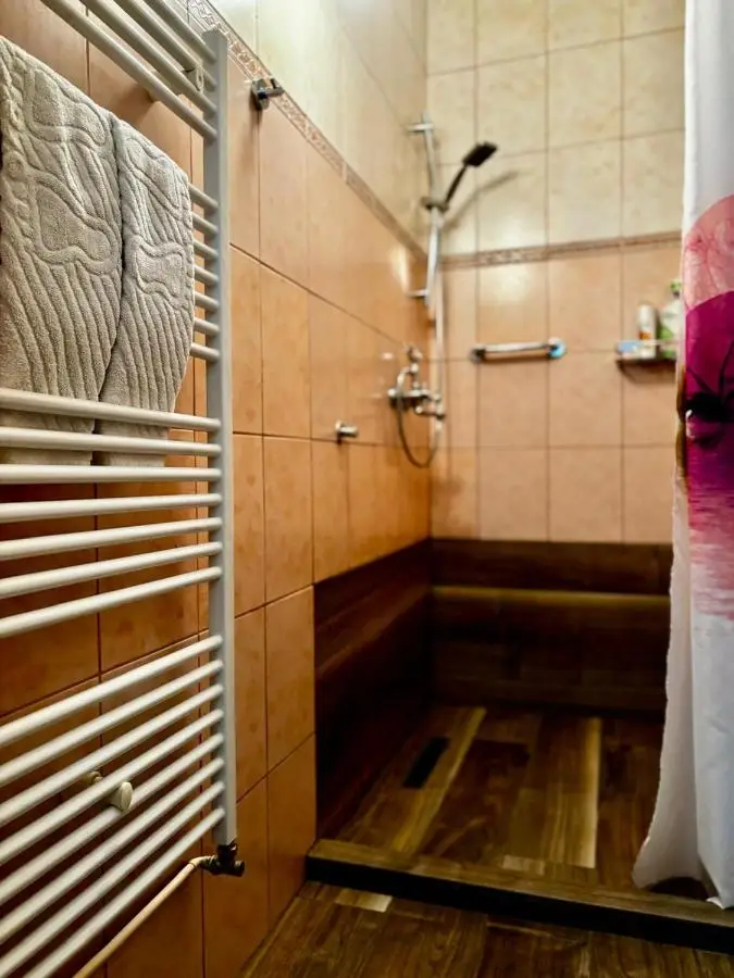 Apartman Mila Stari grad