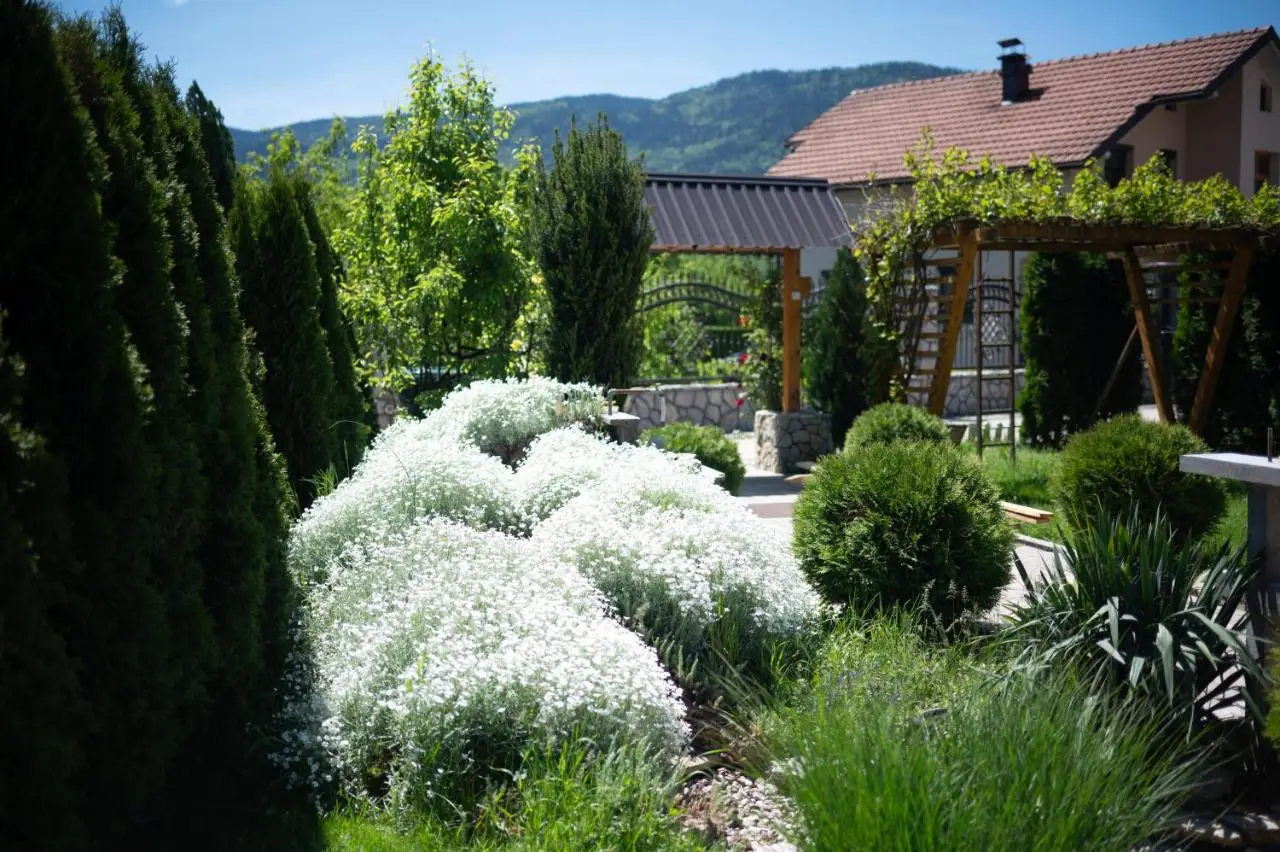 Villa Medina