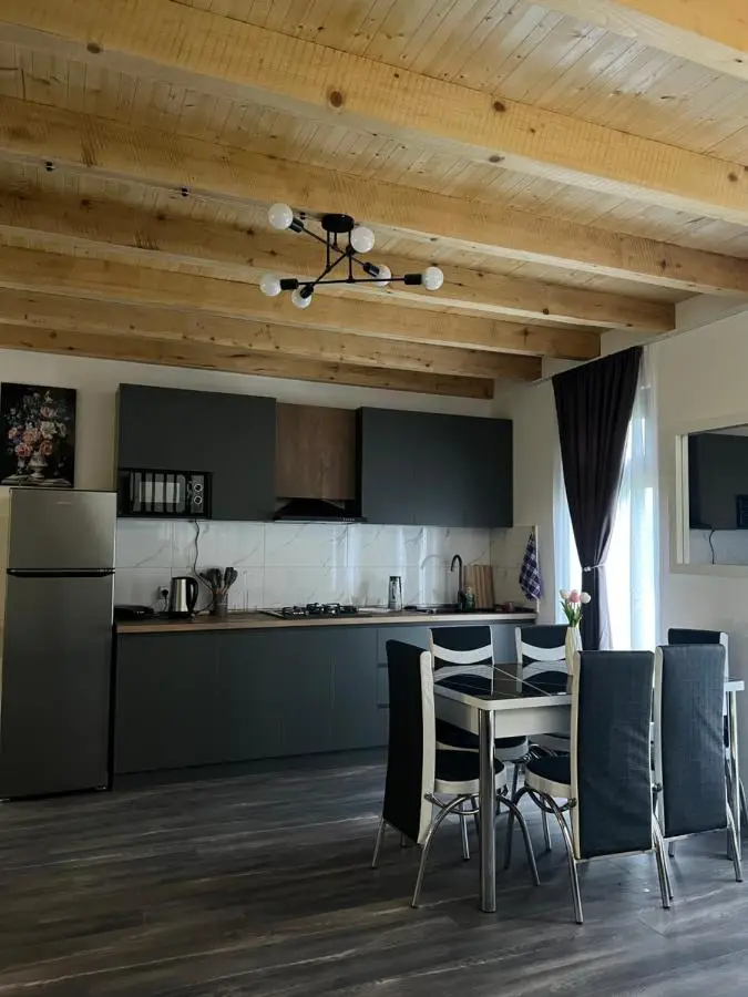 MTA house - Borjomi