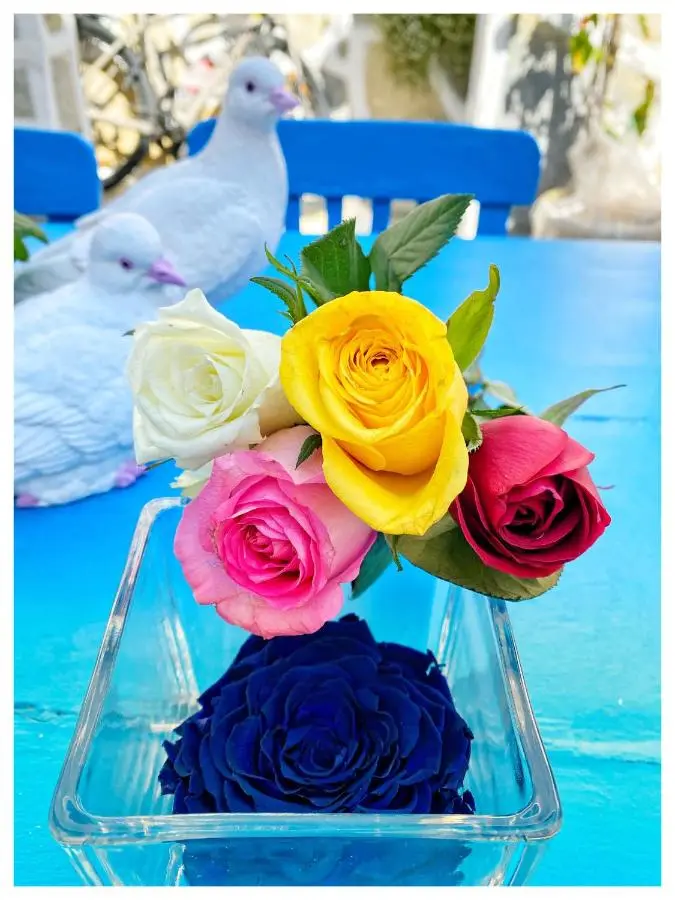 Bodrum Sade Otel