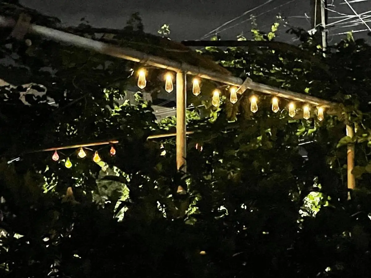 House of greenery