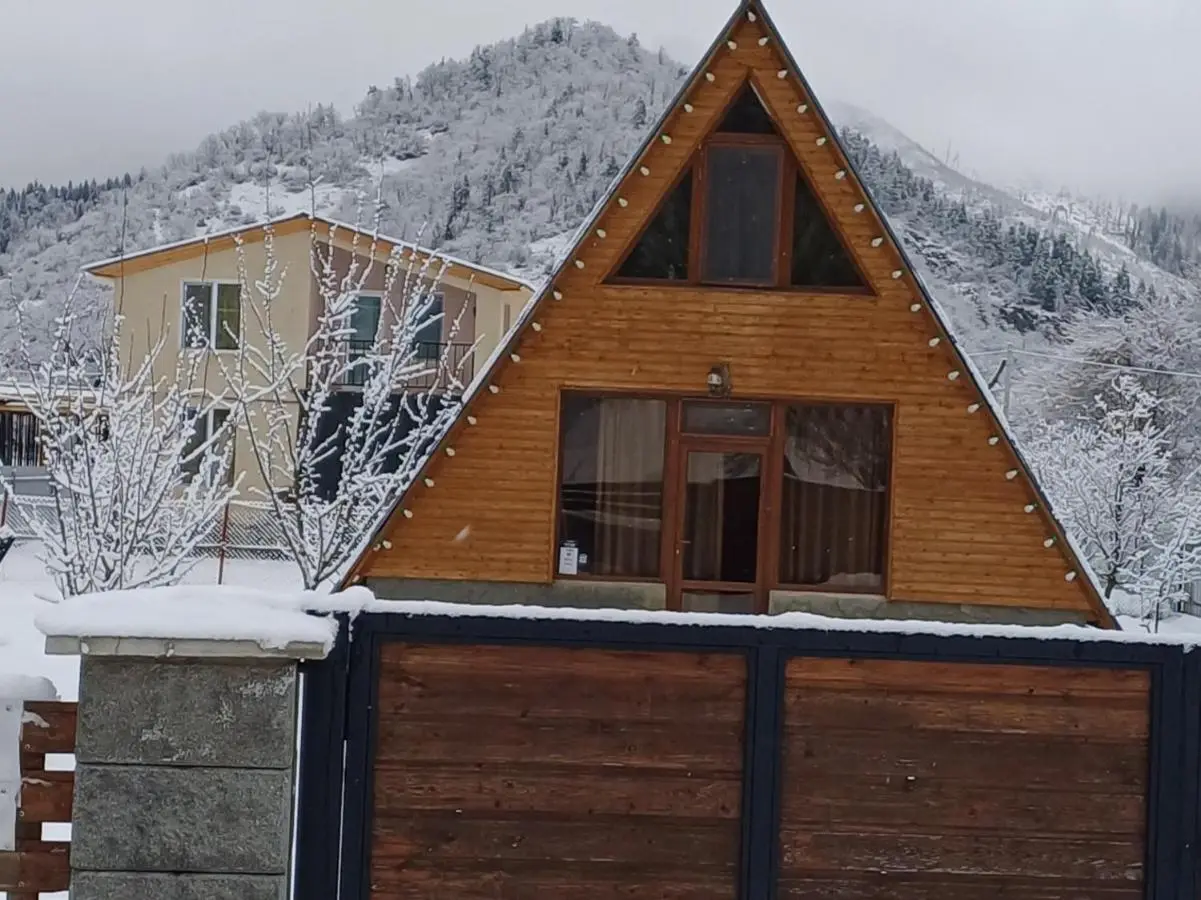 Forest hut
