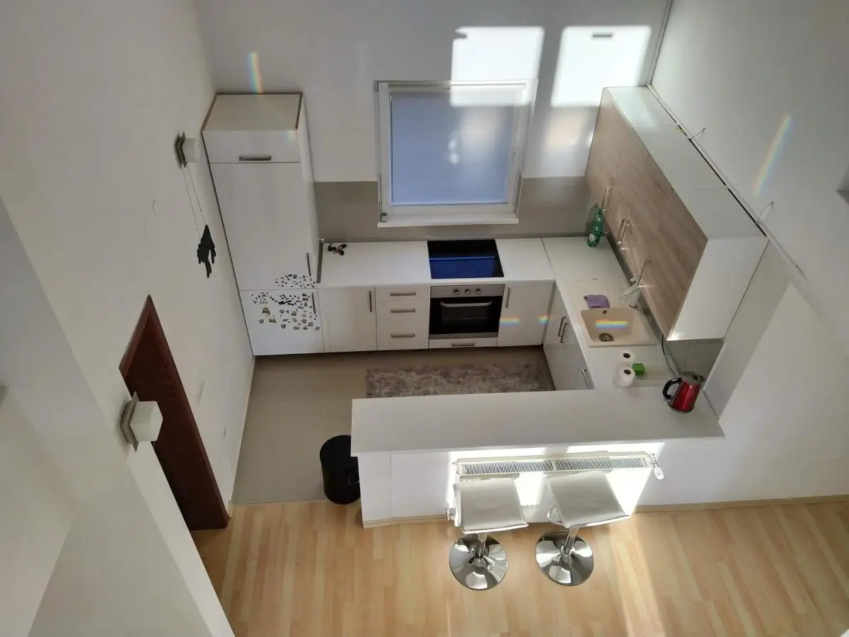 Oasis of Peace Modern House
