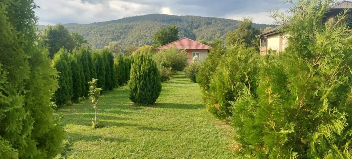 Lamija House